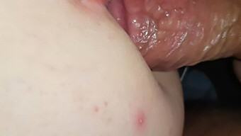 Forage De Grosses Bites: Cocking Her Both Holes