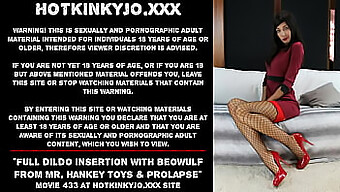 Extreme Dildoing And Prolapse With Beowulf Using Mr. Hankey'S Toys