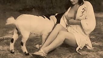 Des Seins Naturels Et Une Chatte Poilue Dans Une Vidéo Taboue.